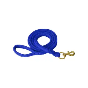 Riding lead Mehis