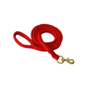 Riding lead Mehis