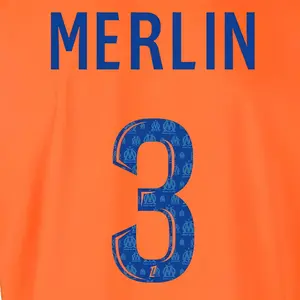 Third flock OM Ligue 1 MERLIN #3 2024/25 image-0