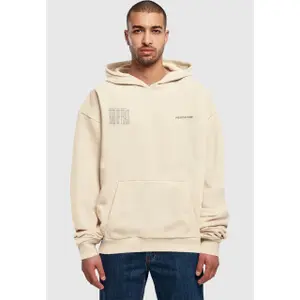 Hooded sweatshirt Merchcode Birds Of Peace 2 image-1