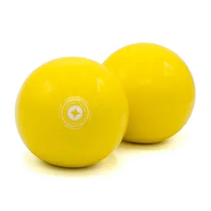 Pilates bal Merrithew Toning (x2)