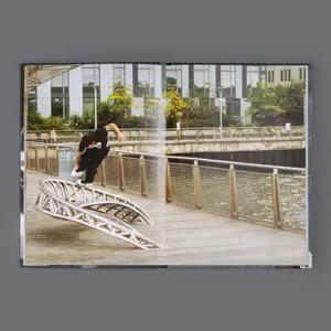 Livre Mesmer NY image-0