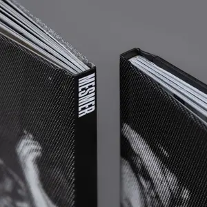 Livre Mesmer NY image-2