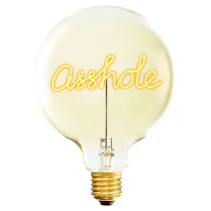 Lampadina LED e27 Message in the Bulb Asshole image-0