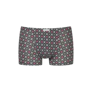 Boxer Mey Ornamental image-0