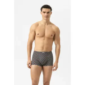 Boxer Mey Ornamental image-1