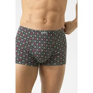 Boxer Mey Ornamental image-3