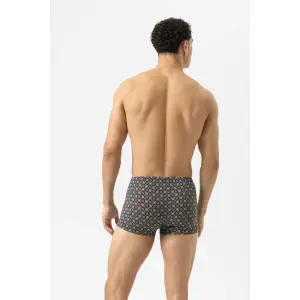 Boxer Mey Ornamental image-2