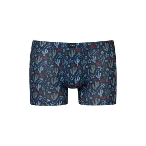 Boxer Mey Desert Cactus image-0