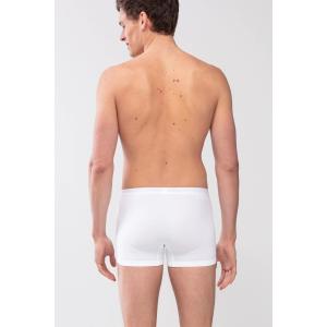 Boxer Mey Software image-1