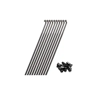 Speiche vorne rechts und Nippel Miche Dark DX image-0