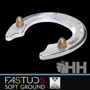 Paardenstoeterijen Michel Vaillant Fastuds SG 21 image-2