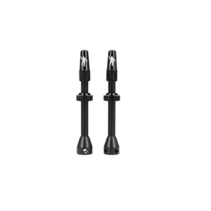 Valve tubeless Michelin (x2) image-1