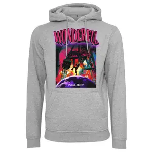Sudadera con capucha Mister Tee Wonderful image-0