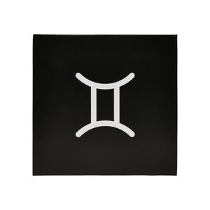 Calcetines Mister Tee Zodiac (x2) image-2