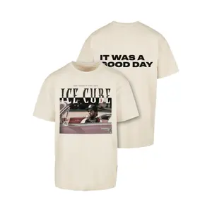 Camiseta oversize Mister Tee Ice Cube It's a good day image-1