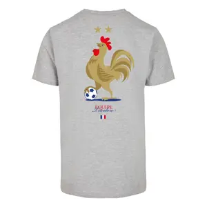 T-Shirt Mister Tee Equipe Tricolore image-1
