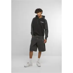 Hooded sweatshirt Mister Tee Emb Raglan image-2