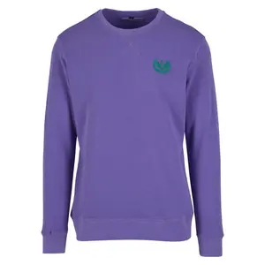 Hooded sweatshirt Mister Tee Courtside Sports Emb image-0