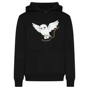 Girl's t-shirt and hoodie Mister Tee Harry Potter image-2