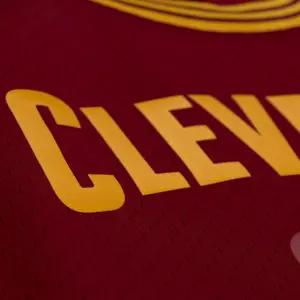 Camisola Cleveland Cavaliers Lebron James image-2