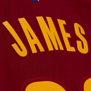 Camisola Cleveland Cavaliers Lebron James image-5