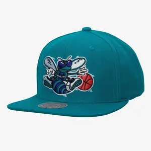 Charlotte Hornets snapback cap NBA Team Ground 2.0 Stretch Fitted HWC image-0