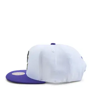 Gorra Milwaukee Bucks 50th Anniversary image-3