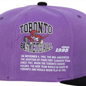 product/m/i/mitchell-ness_6hsssh22018-trapurp_purple_3.jpg