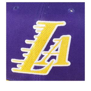 Gorra Los Angeles Lakers Rear Script Deadstock image-6