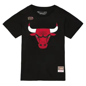 Camiseta Chicago Bulls NBA Team Logo image-0