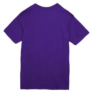 product/m/i/mitchell-ness_bmtrintl1262-lalpurp_purple_2.jpg