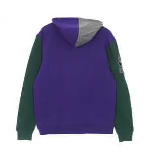 Felpa con cappuccio Milwaukee Bucks image-1