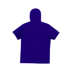 Short-sleeved hoodie Mitchell & Ness Gameday Charlotte Hornets image-1