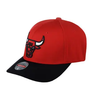 Gorra Chicago Bulls 2 Tone 2.0 Stretch NBA image-0