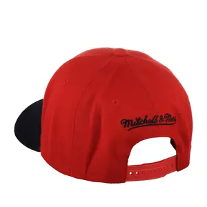 Gorra Chicago Bulls 2 Tone 2.0 Stretch NBA image-1