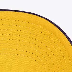Snapback cap Mitchell & Ness Collegiate Pro Los Angeles Lakers image-2