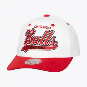 Chicago Bulls snapback cap NBA Tail Sweep Pro image-0