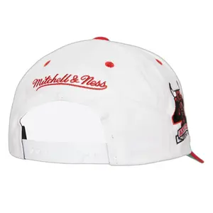 Chicago Bulls snapback cap NBA Tail Sweep Pro image-1