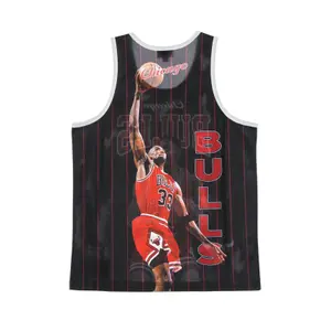Camiseta Chicago Bulls NBA Scottie Pippen image-1