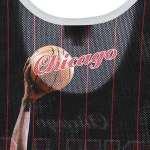Camiseta Chicago Bulls NBA Scottie Pippen image-2