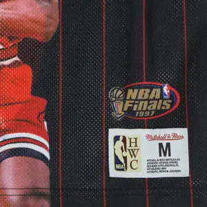 Camiseta Chicago Bulls NBA Scottie Pippen image-3