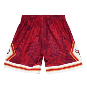 Shorts Chicago Bulls NBA Cny 4.0 Swingman 1997 image-1