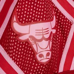 Short Chicago Bulls NBA Monochrome Swingman 2008 image-2