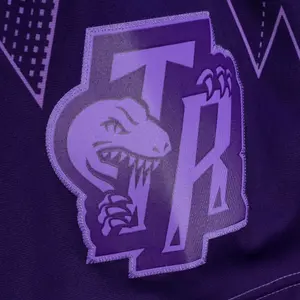 Camiseta corta NBA Toronto Raptors Monochrome Swingman image-2