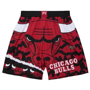 Shorts Chicago Bulls NBA Jumbotron 2.0 Sublimated image-0