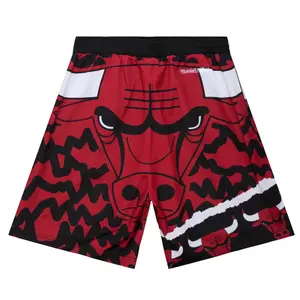 Shorts Chicago Bulls NBA Jumbotron 2.0 Sublimated image-1