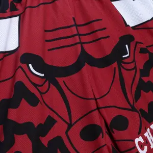 Shorts Chicago Bulls NBA Jumbotron 2.0 Sublimated image-2