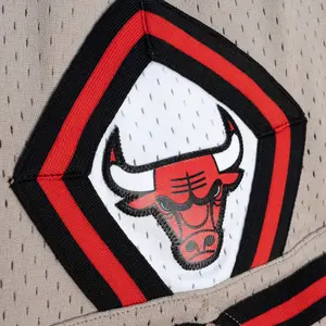 Shorts für Damen Chicago Bulls Mushroom image-2