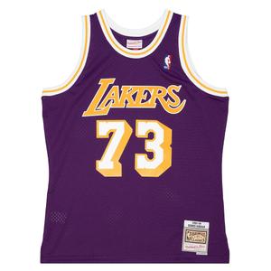 smjy4036-lal98drdpurp-nba-trikot-los-angeles-lakers-dennis-rodman-lila